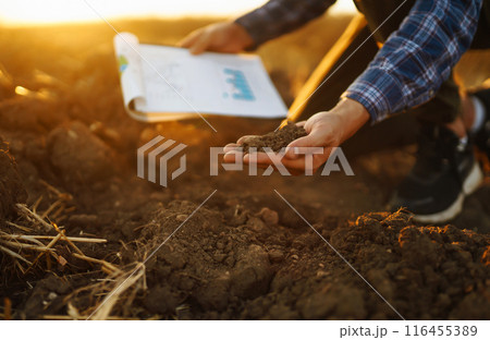 Hand of farmer collect soil, checking soil health before growth seed of vegetable Harvesting concept Hand of farmer collect soil, checking soil health before growth seed of vegetable Harvesting concept 116455389