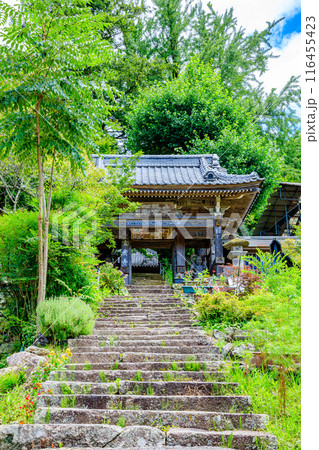 夏の富貴寺　大分県豊後高田市 116455423