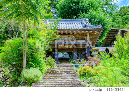 夏の富貴寺　大分県豊後高田市 116455424
