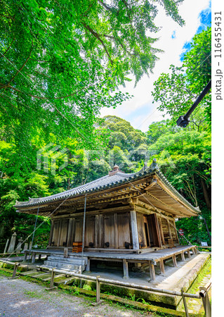 夏の富貴寺 大分県豊後高田市 夏の富貴寺 大分県豊後高田市 116455431