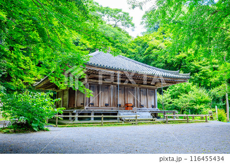 夏の富貴寺　大分県豊後高田市 116455434