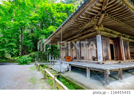 夏の富貴寺　大分県豊後高田市 116455435
