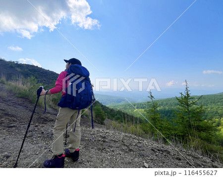 登山をする女の子 116455627