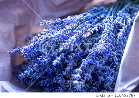 Fresh lavender wrapped in a sheet of paper 116455767