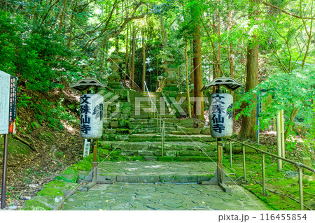 夏の文殊仙寺 参道 大分県国東市 夏の文殊仙寺 参道 大分県国東市 116455854