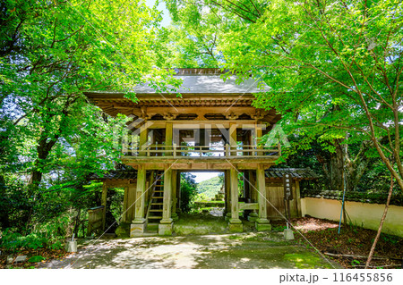 夏の文殊仙寺　山門　大分県国東市 116455856