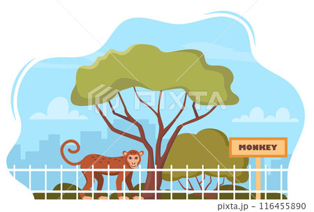Monkey on territory of wildlife zoo park surrounded by fence. Vector illustration. Monkey on territory of wildlife zoo park surrounded by fence. Vector illustration. 116455890