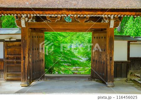 【須原宿】山門と新緑【木曽郡大桑村】 116456025