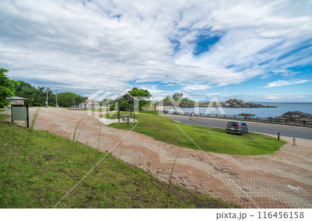 「青森県」蕪島プロムナード公園から望む蕪島 八戸市 「青森県」蕪島プロムナード公園から望む蕪島 八戸市 116456158