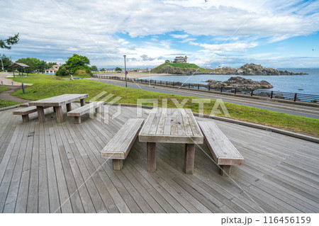 「青森県」蕪島プロムナード公園から望む蕪島 八戸市 「青森県」蕪島プロムナード公園から望む蕪島 八戸市 116456159