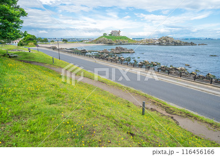「青森県」蕪島プロムナード公園から望む蕪島 八戸市 「青森県」蕪島プロムナード公園から望む蕪島 八戸市 116456166