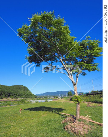 ことなみ土器どき広場)【香川県仲多度郡まんのう町8 ことなみ土器どき広場)【香川県仲多度郡まんのう町8 116456592