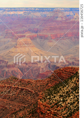 Hazy Sky Day At The Grand Canyon Arizona Hazy Sky Day At The Grand Canyon Arizona 116456725