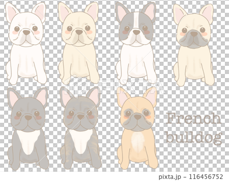 Sitting French Bulldogs - Set of various colors Sitting French Bulldogs - Set of various colors 116456752
