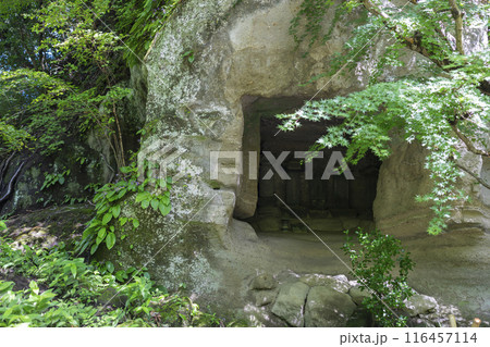 明月院のやぐら 116457114