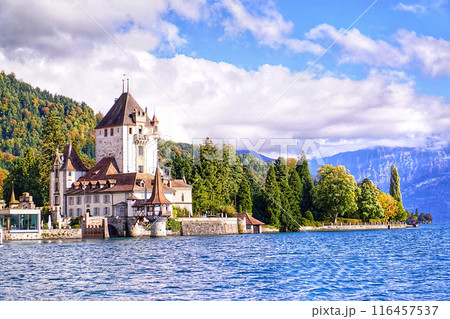 Fairy Tale Swiss Castle by the Lake 116457537