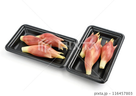 みょうが（茗荷） 116457803