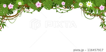 Jungle liana frame. Tropical climbing plants. Exotic winding branches with monstera palm leaves and pink flowers. Rainforest greenery. Ivy foliage. Botanical border. Vector background 116457917