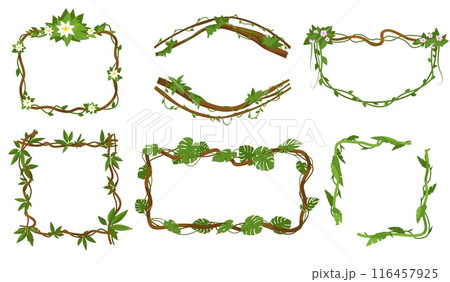 Jungle liana frames. Intertwined branch. Green vine. Different shapes. Creeper stems with flowers or palm leaves. Exotic climbing plant. Rainforest greenery. Vector botanical borders set 116457925