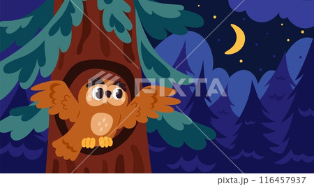 Owl in tree at night. Nocturnal bird of prey flies out of hollow to hunt. Fir wood branches. Forest landscape. Nighttime nature. Owlet in hole. Flying wild animal. Garish vector concept 116457937