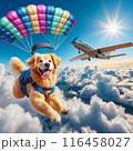 犬　スカイダイビング 116458027