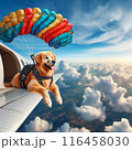 犬　スカイダイビング 116458030
