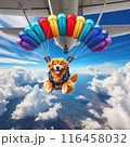 犬　スカイダイビング 116458032