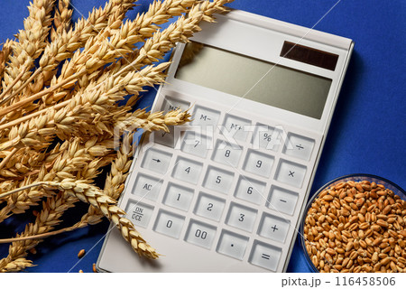Wheat grain and wheat ears on a laboratory table. testing of grain quality and pesticides trace. top view. Genetic Modification Study in Agricultural Wheat. Agricultural Research Wheat grain and wheat ears on a laboratory table. testing of grain quality and pesticides trace. top view. Genetic Modification Study in Agricultural Wheat. Agricultural Research 116458506