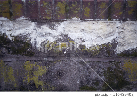 Mossy Brick Walls. Mosses on red wall background. 116459408