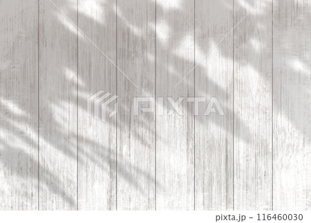 背景イラスト_木漏れ日 背景イラスト_木漏れ日 116460030