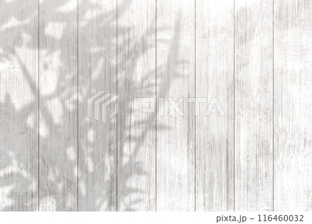 背景イラスト_木漏れ日 背景イラスト_木漏れ日 116460032