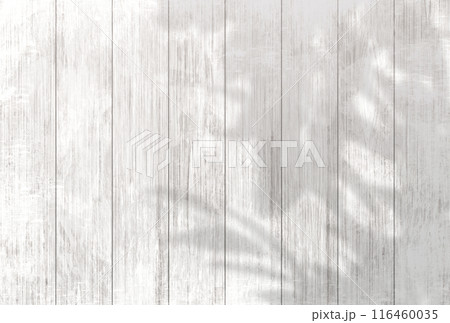 背景イラスト_木漏れ日 背景イラスト_木漏れ日 116460035