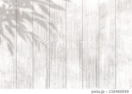 背景イラスト_木漏れ日 背景イラスト_木漏れ日 116460049