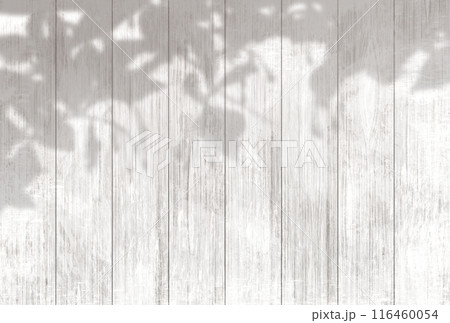 背景イラスト_木漏れ日 背景イラスト_木漏れ日 116460054