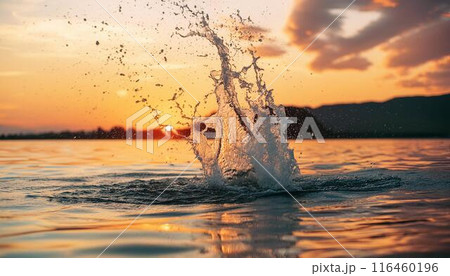 水飛沫、波紋、水面、海面、抽象的な水の背景 116460196