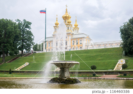 view of fountains in Peterhof Palace park, Saint-Petersburg 116460386