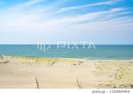 浜松市にある中田島砂丘の砂浜と青い海と空の風景(静岡県) 浜松市にある中田島砂丘の砂浜と青い海と空の風景(静岡県) 116460469