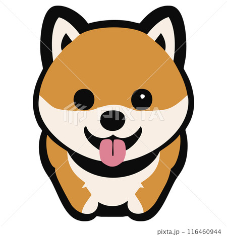 舌を出す柴犬 116460944