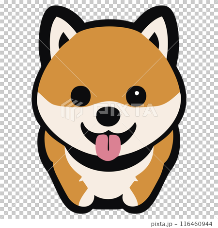 Shiba Inu拉出一個舌頭 116460944