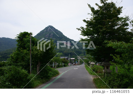 滋賀県 太郎坊山(赤神山) 滋賀県 太郎坊山(赤神山) 116461055