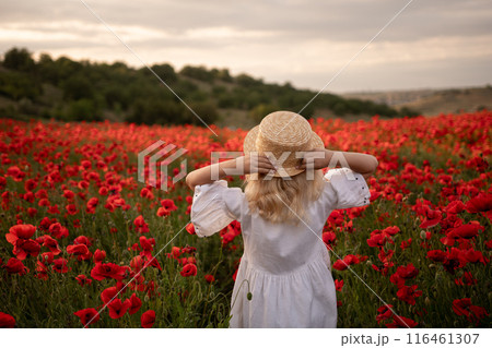 A young girl stands in a field of red poppies, wearing a straw hat 116461307