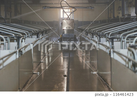 A robot washes a modern pig farm in Denmark A robot washes a modern pig farm in Denmark 116461423