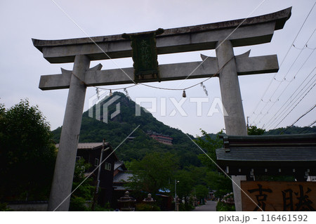 滋賀県　太郎坊宮（阿賀神社）鳥居と太郎坊山 116461592