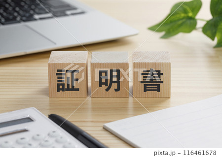 証明書と書かれた積み木のブロック 証明書と書かれた積み木のブロック 116461678