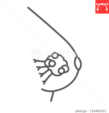 Breast cancer line icon Breast cancer line icon 116462031