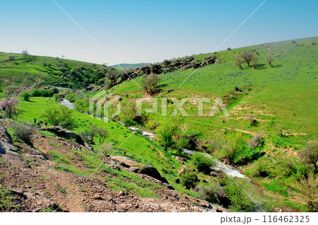 Majestic Flows 116462325