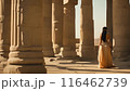 Beautiful woman in traditional Egyptian clothing in an ancient Egyptian temple. 116462739
