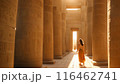 Beautiful woman in traditional Egyptian clothing in an ancient Egyptian temple. 116462741