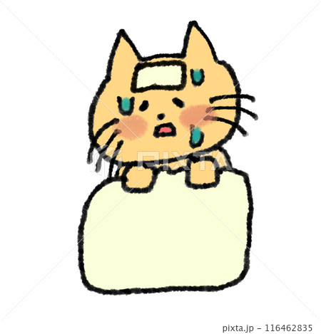 はつねつねこ 116462835
