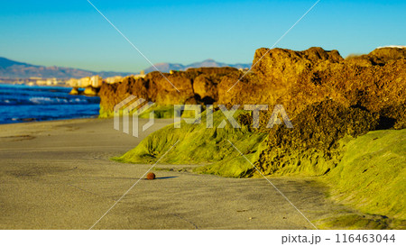 Spanish coastal landscape Spanish coastal landscape 116463044
